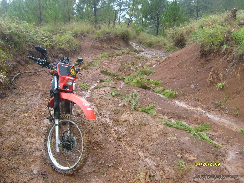 Photo 1793517