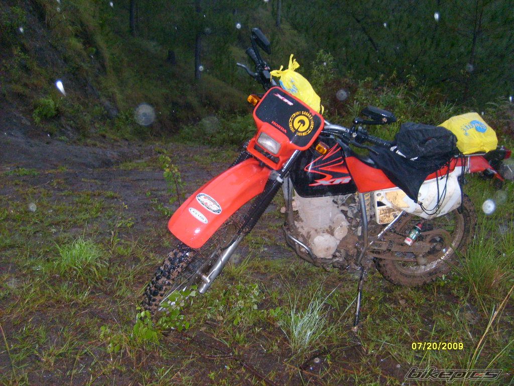 Photo 1793518