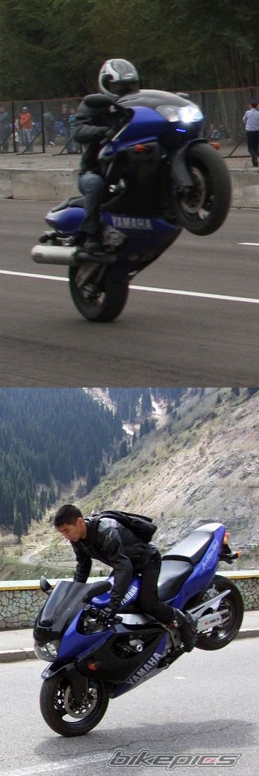 Photo 1793564