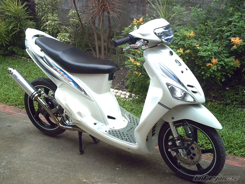 Photo 1793569