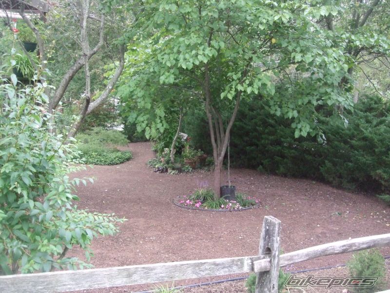 Photo 1793588