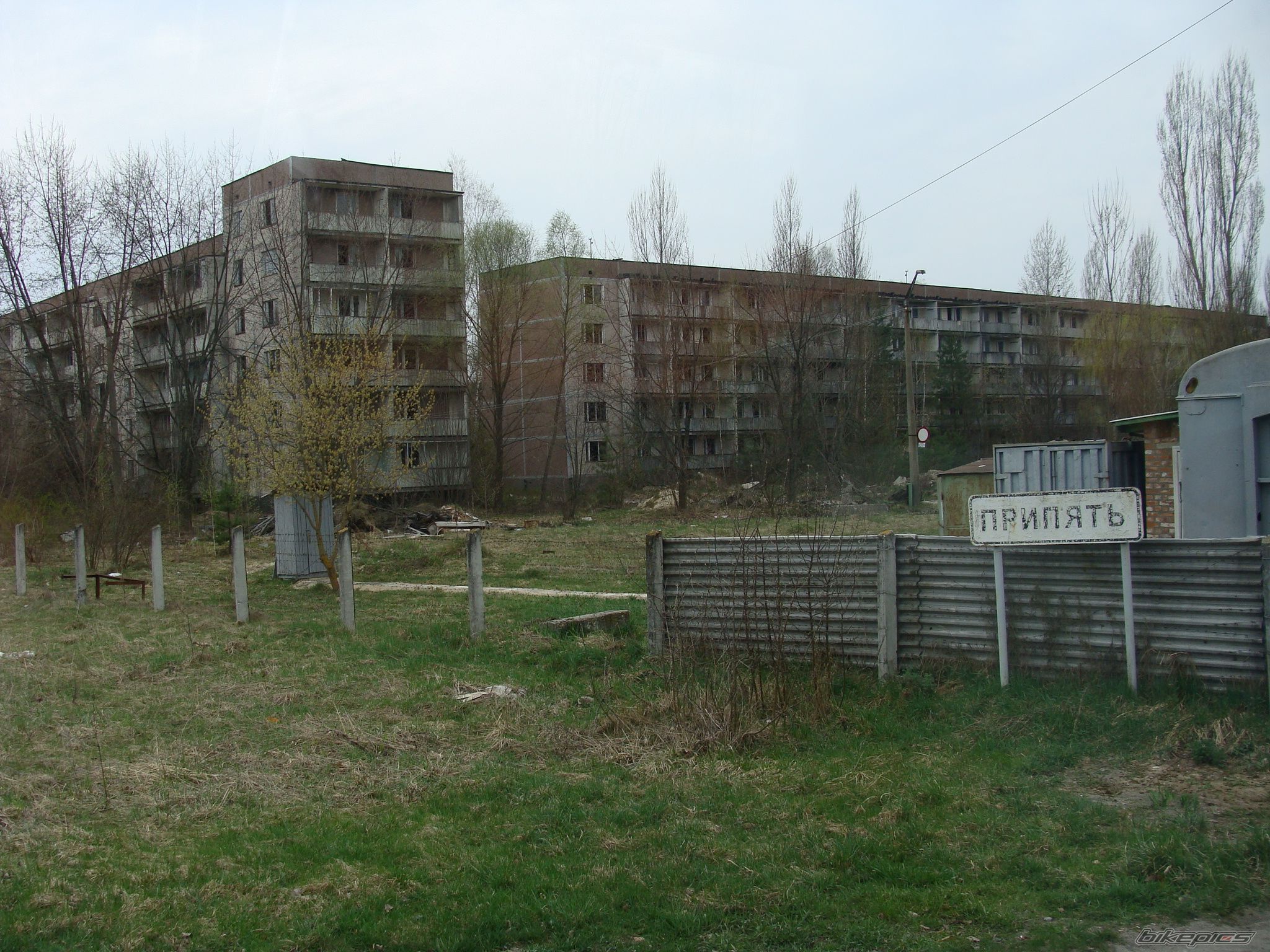 Photo 1793933
