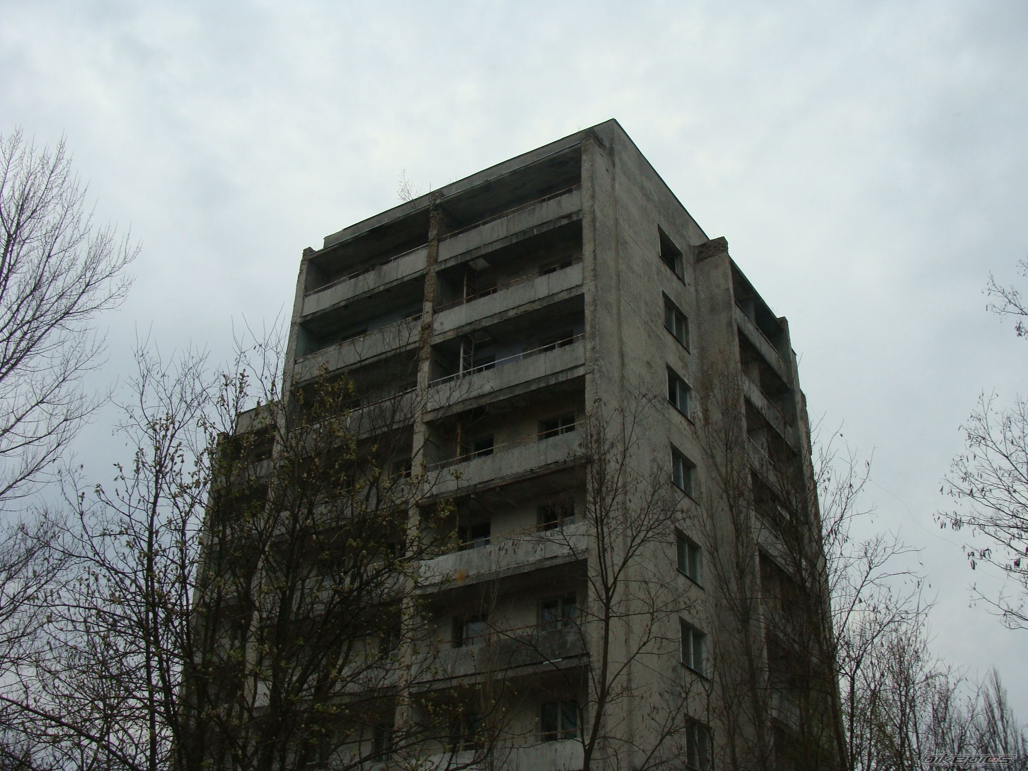Photo 1793934