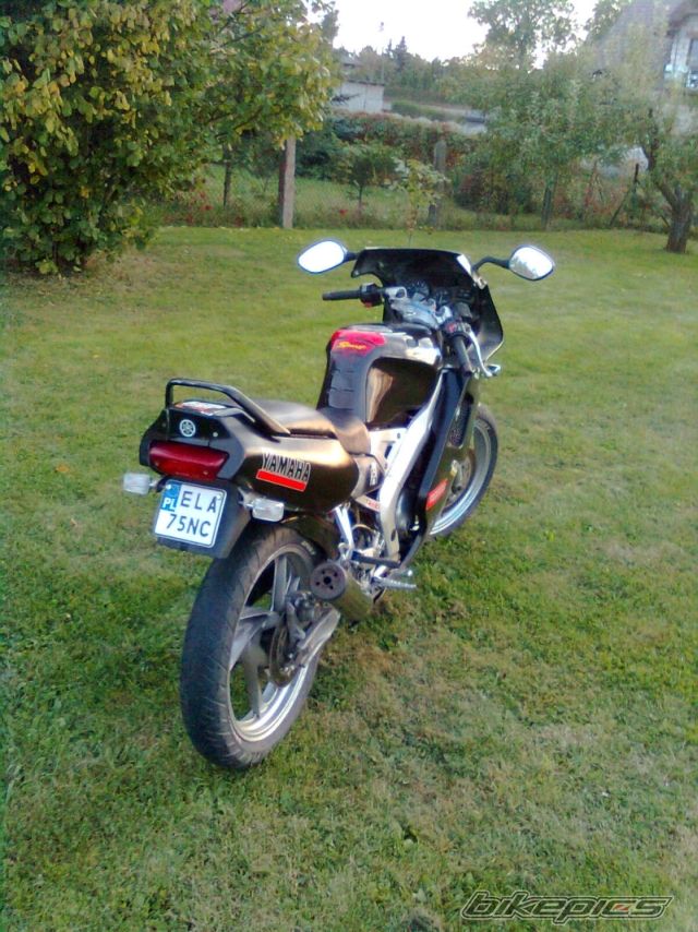Photo 1793973