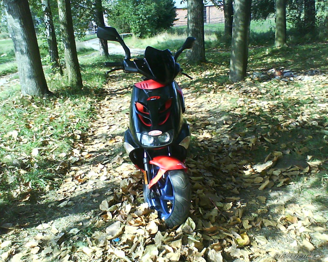 Photo 1794045