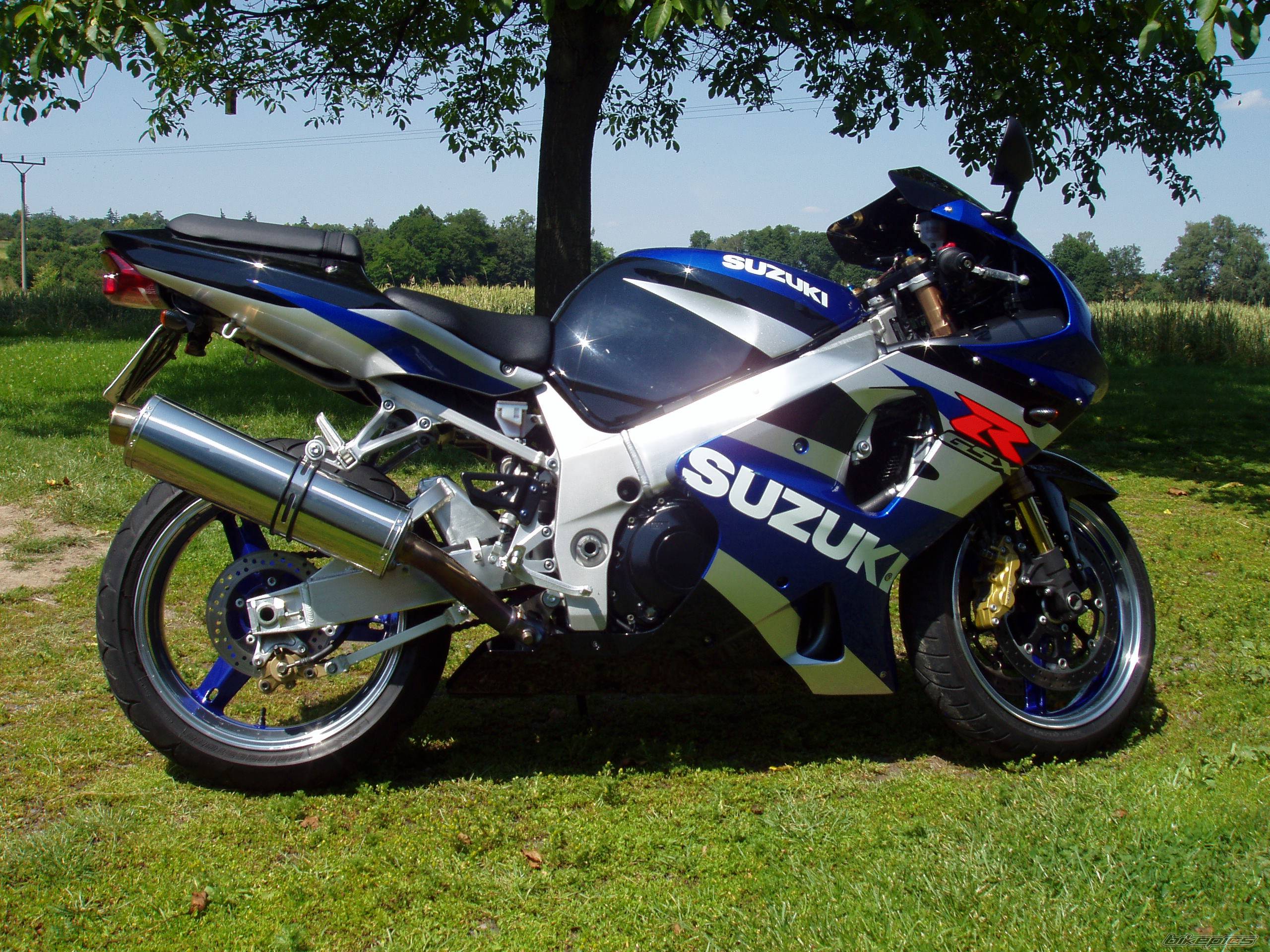 Photo 179419