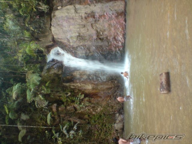 Photo 1794253