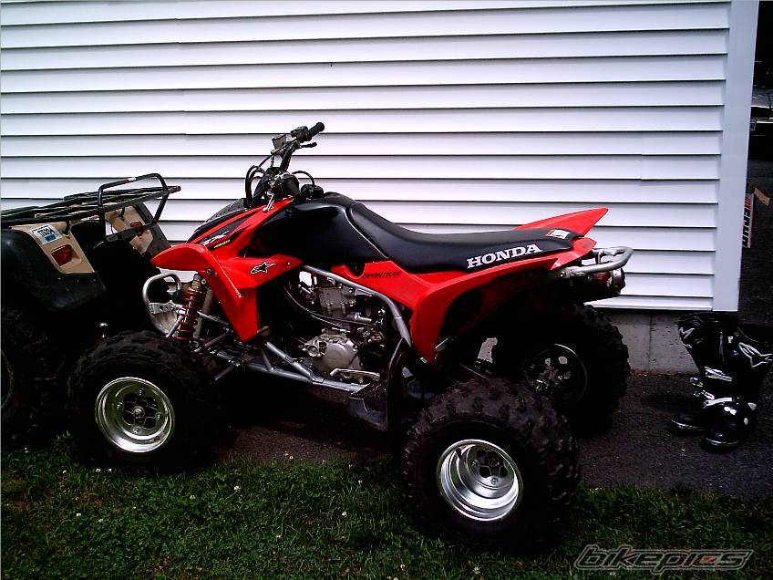 Photo 179431