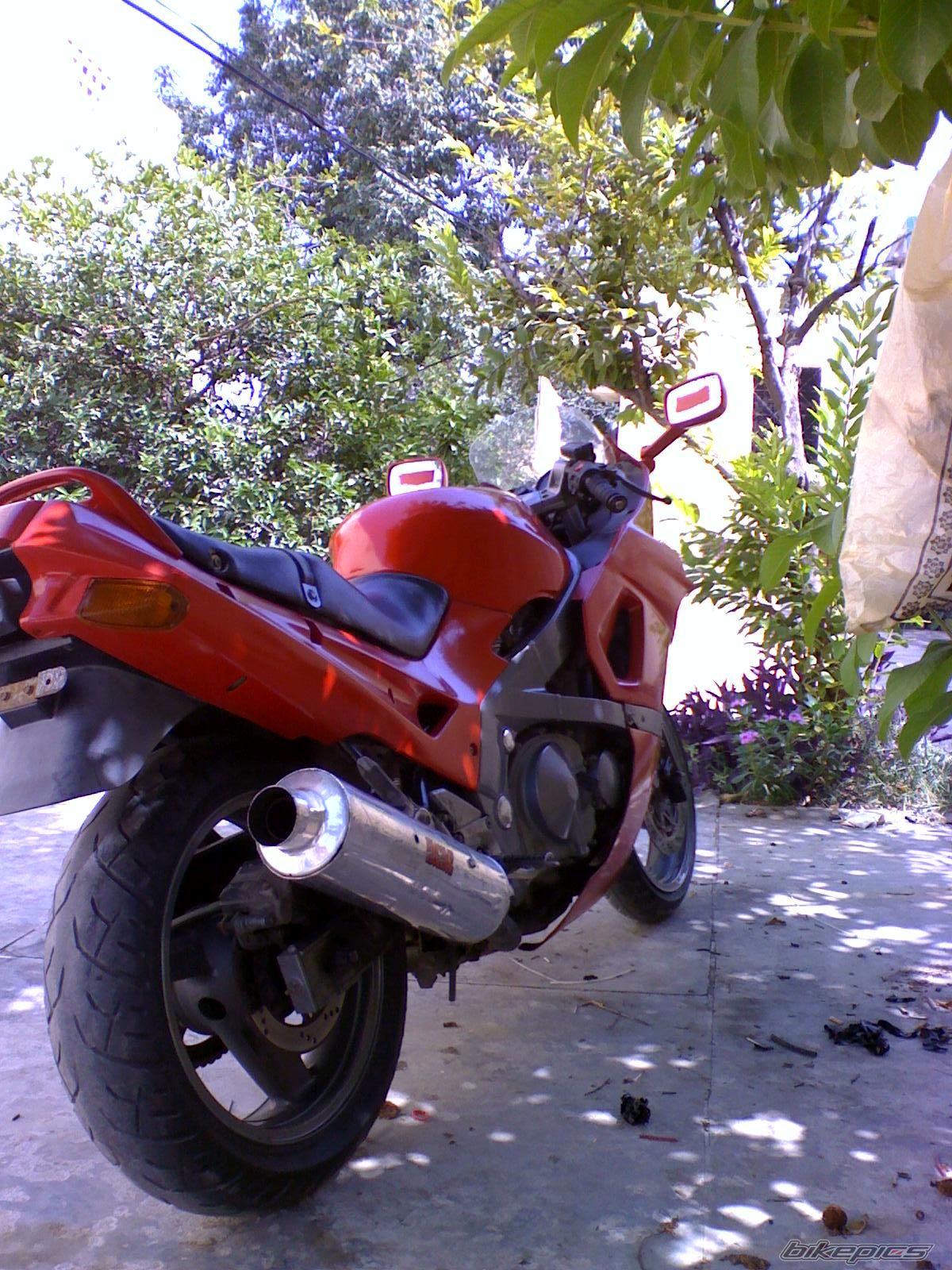 Photo 1794383