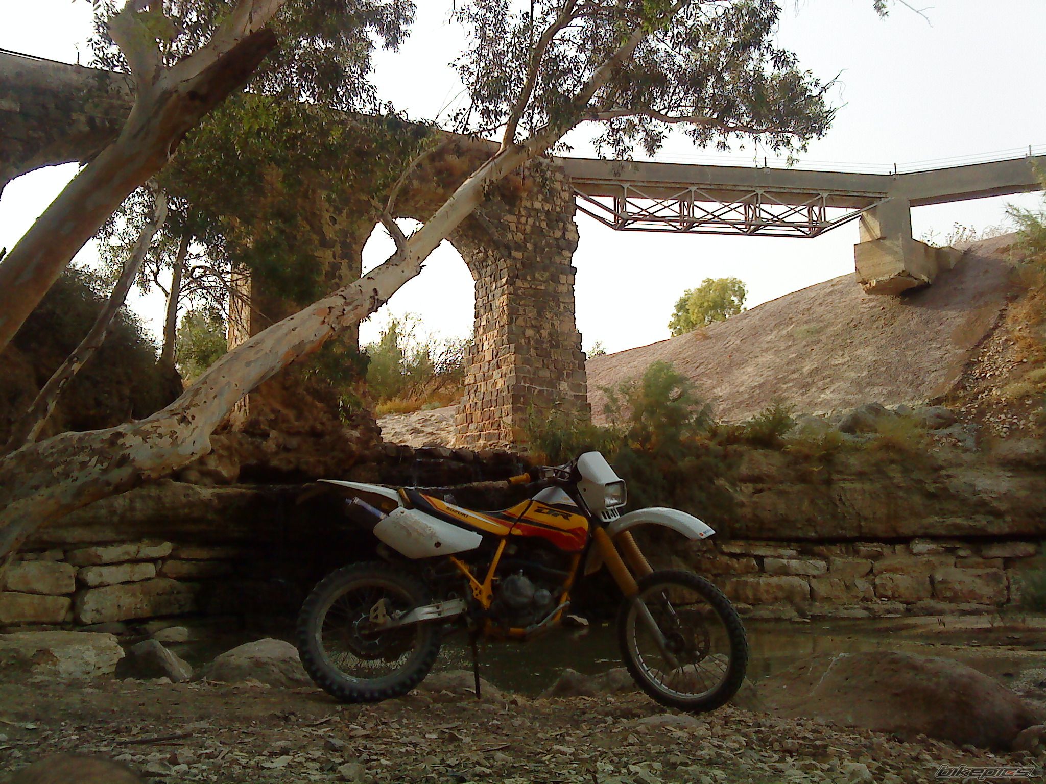 Bike Photo 1794483
