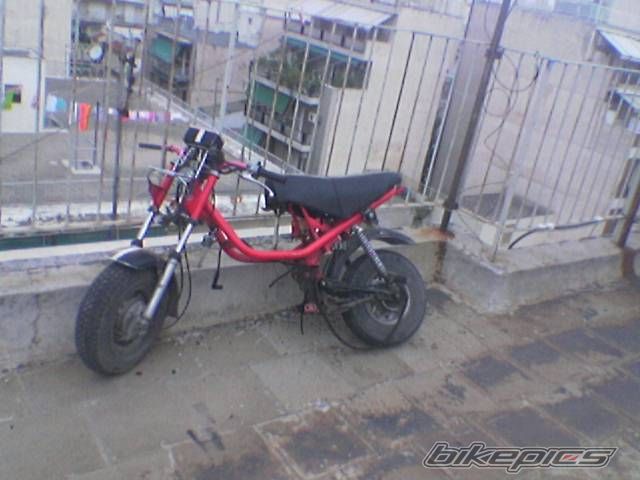 Photo 1794592
