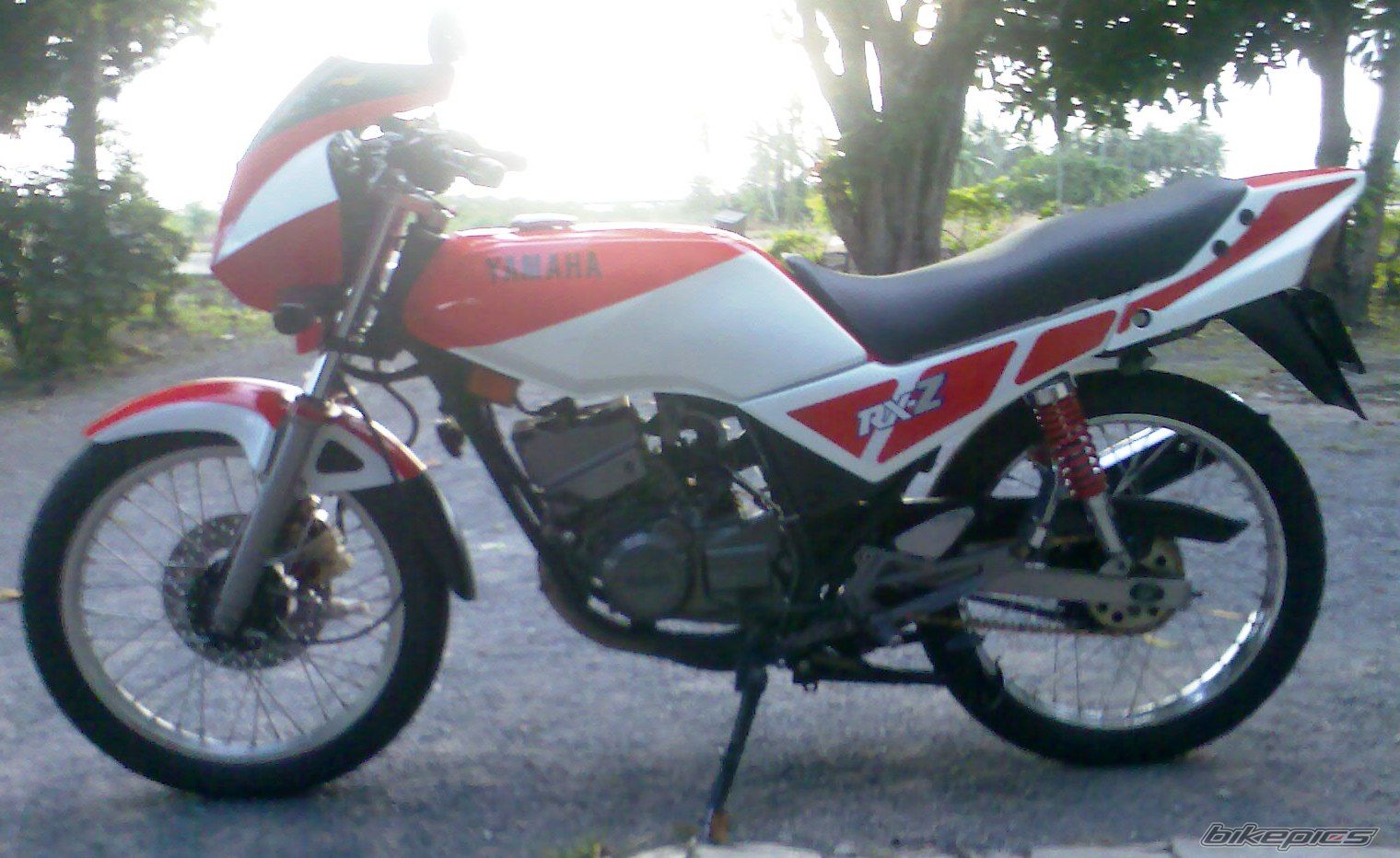 Photo 1794864
