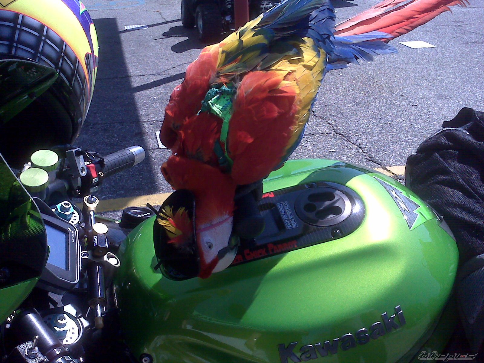 Photo 1794962