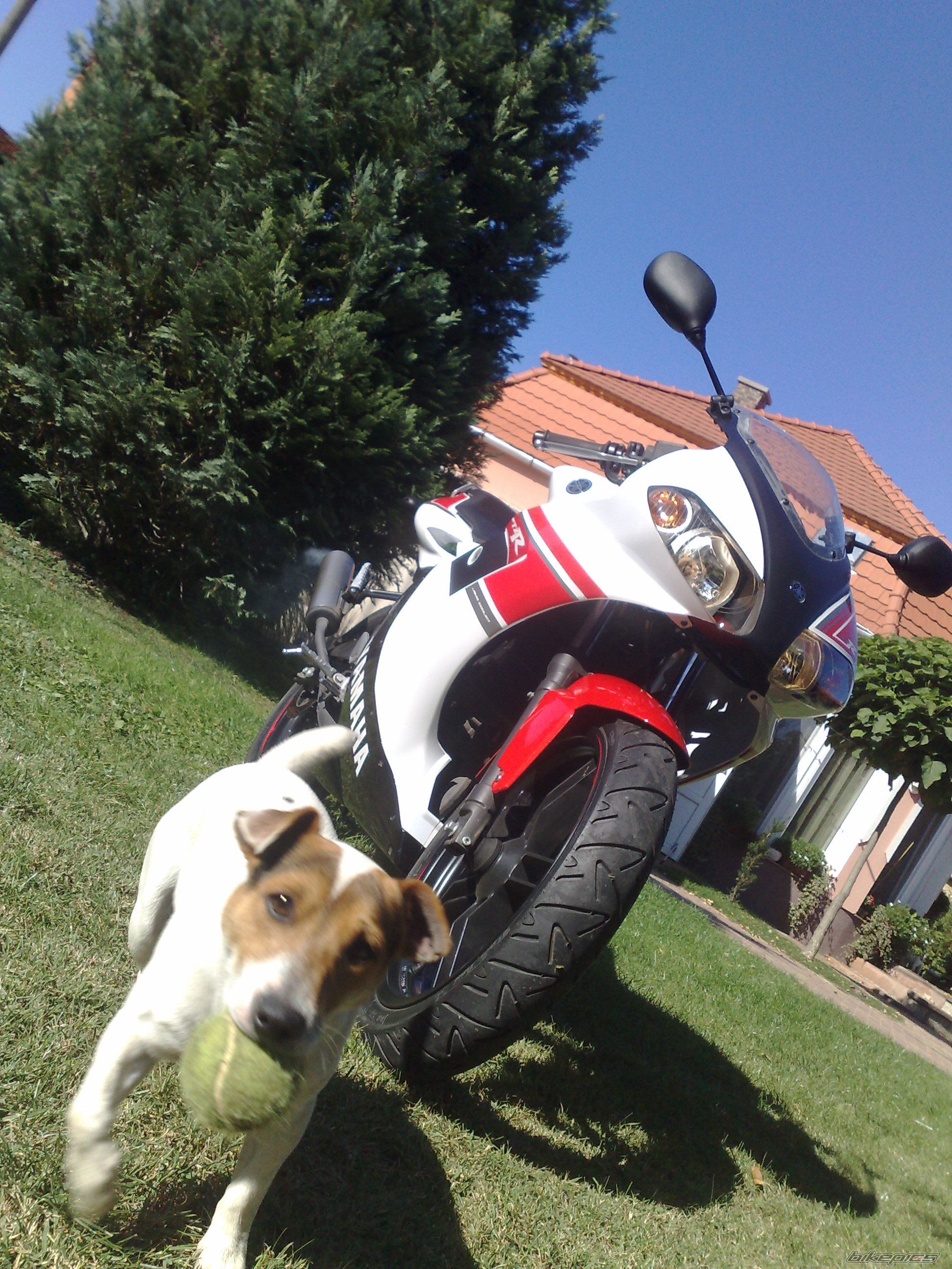 Bike Photo 1795087