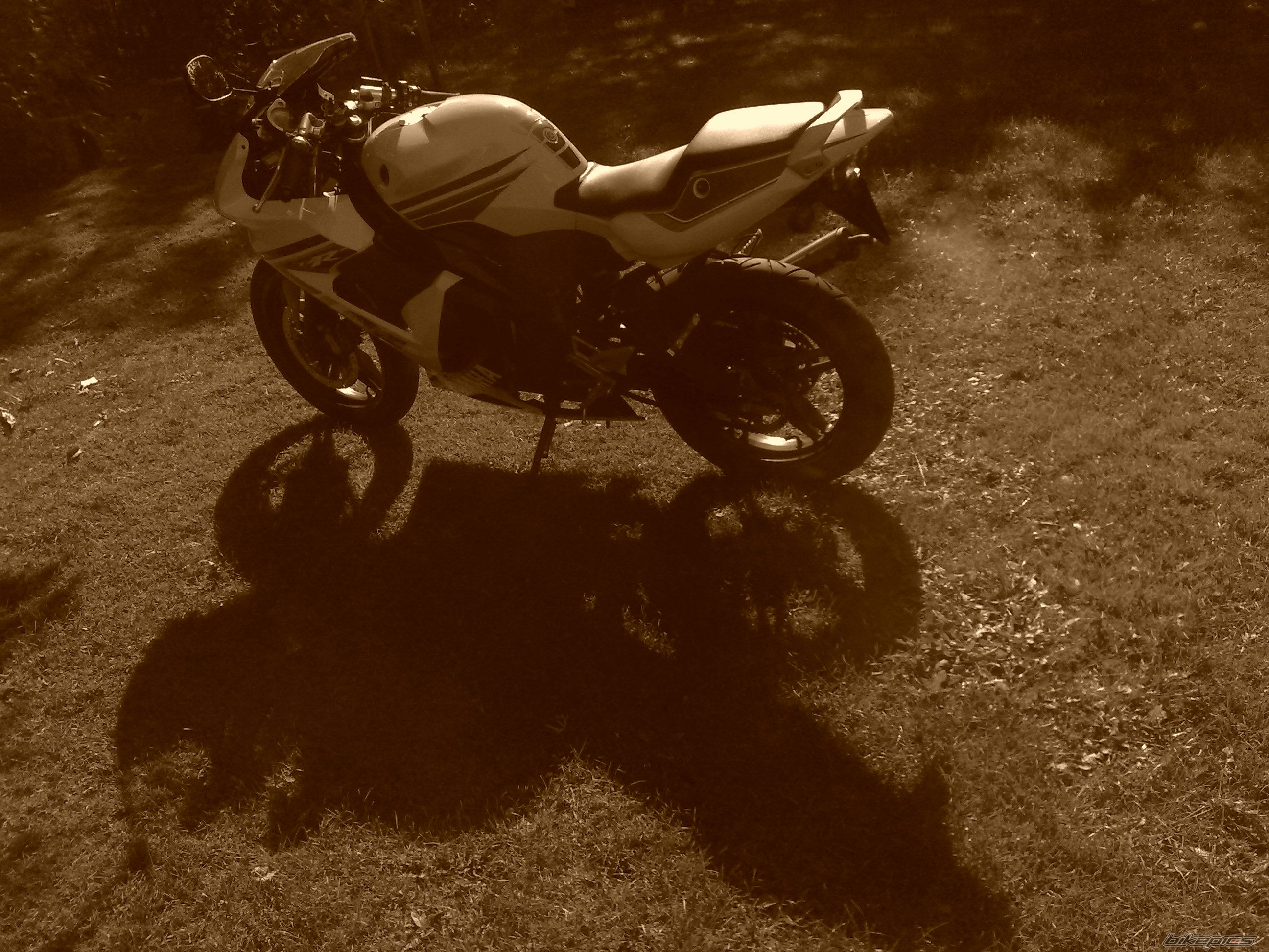 Photo 1795093