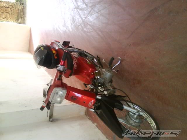 Photo 1795145