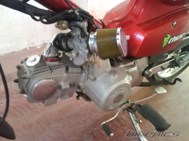 Photo 1795146