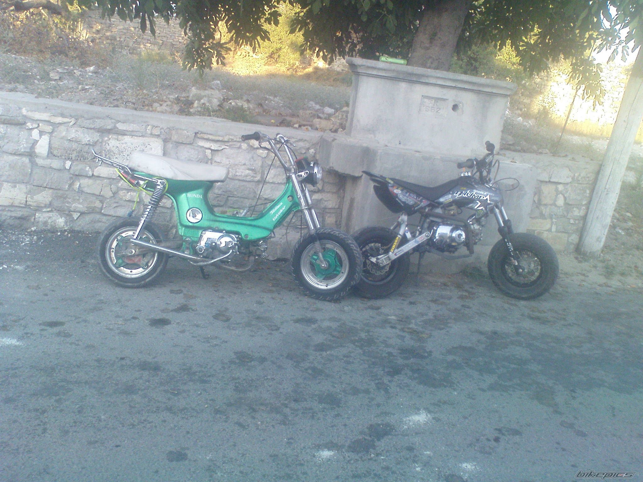 Photo 1795388