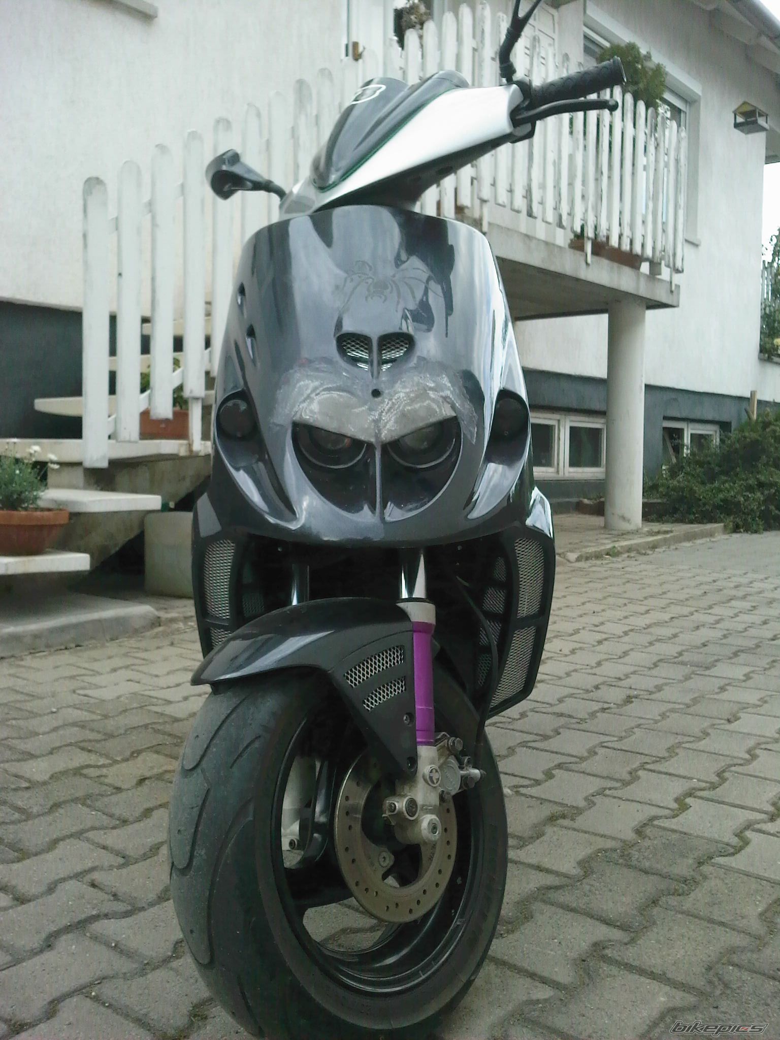 Photo 1795494