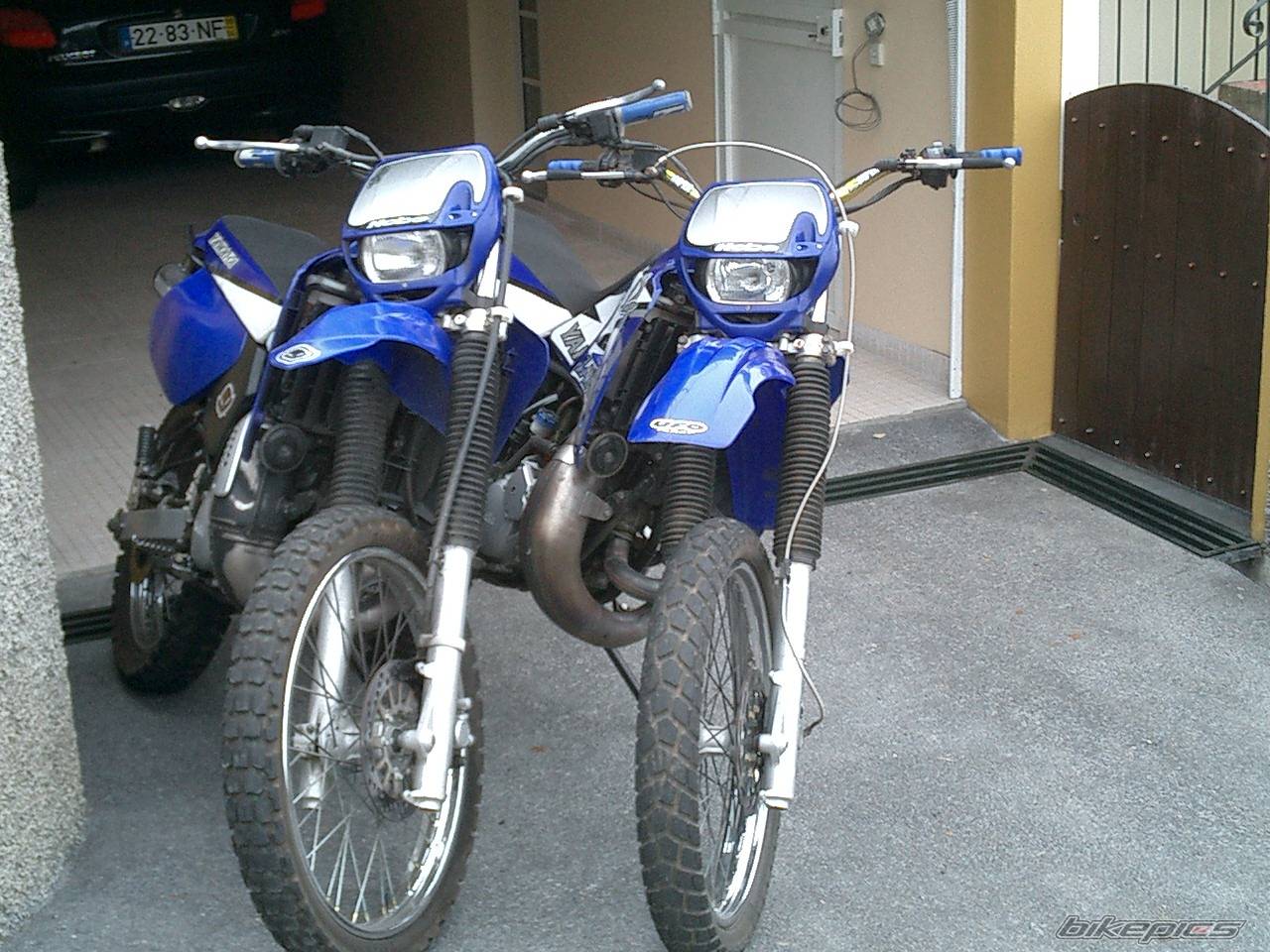 Photo 179559