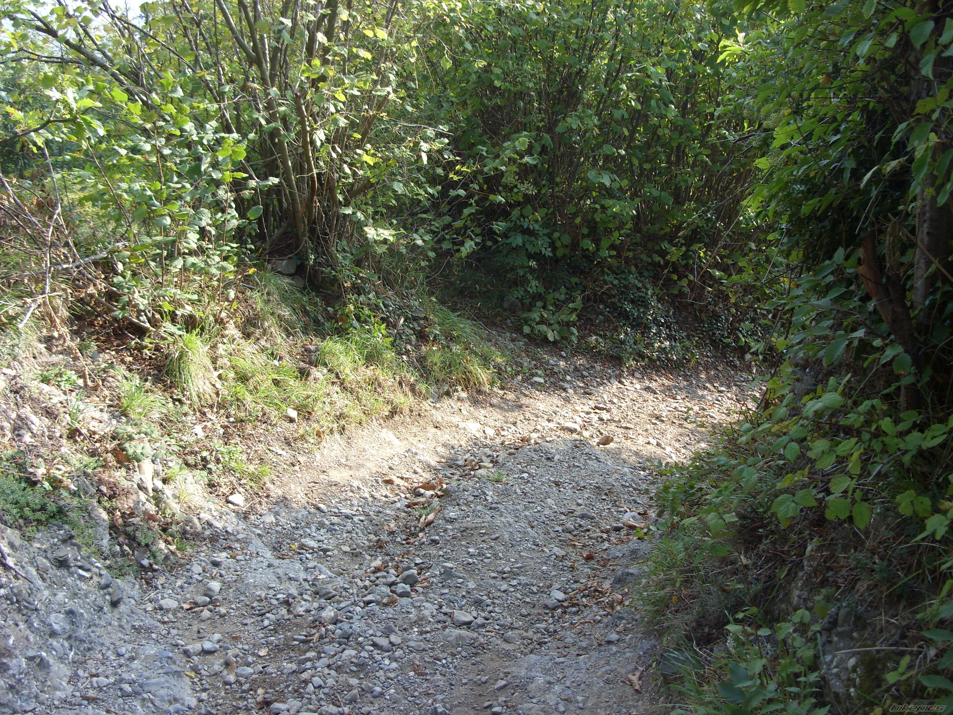 Bike Photo 1795602