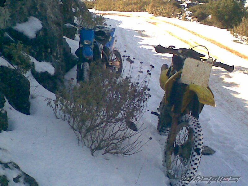 Bike Photo 1795606