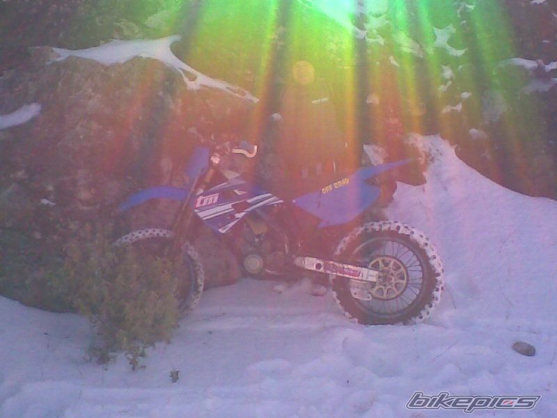Photo 1795608