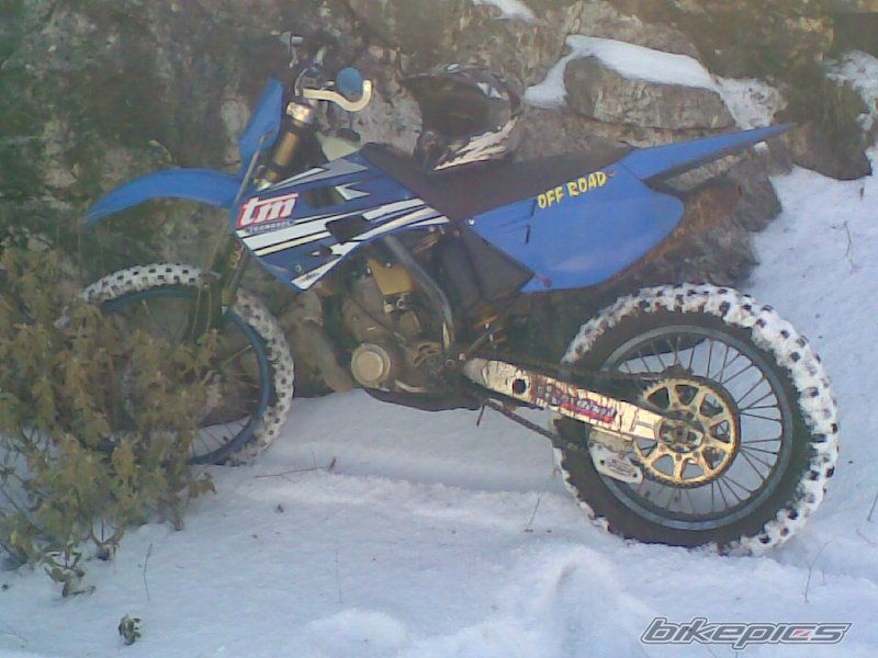 Photo 1795609