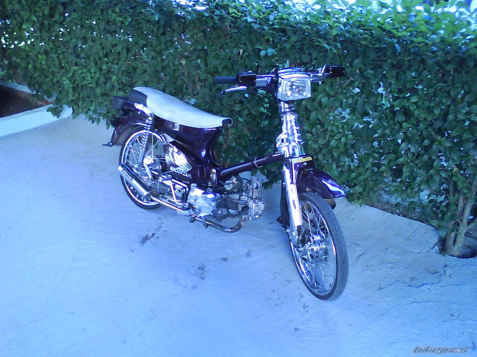Photo 1795621