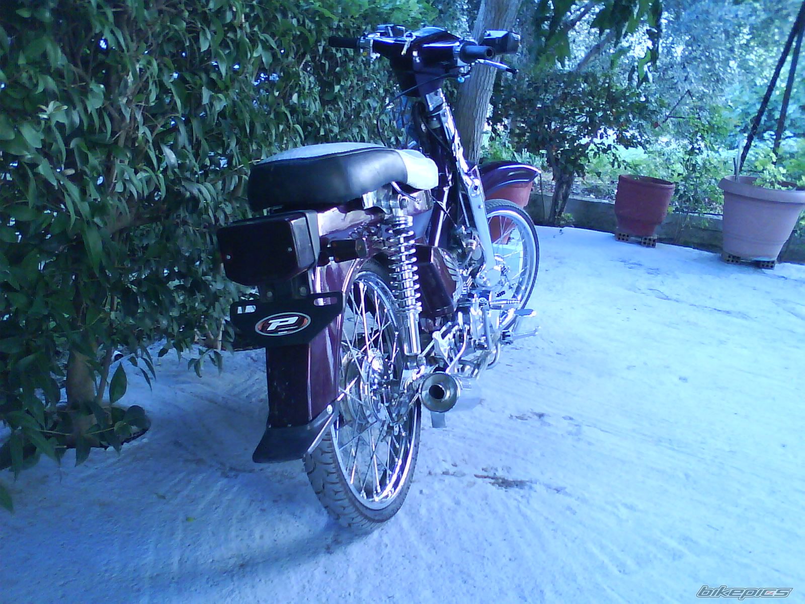 Photo 1795624