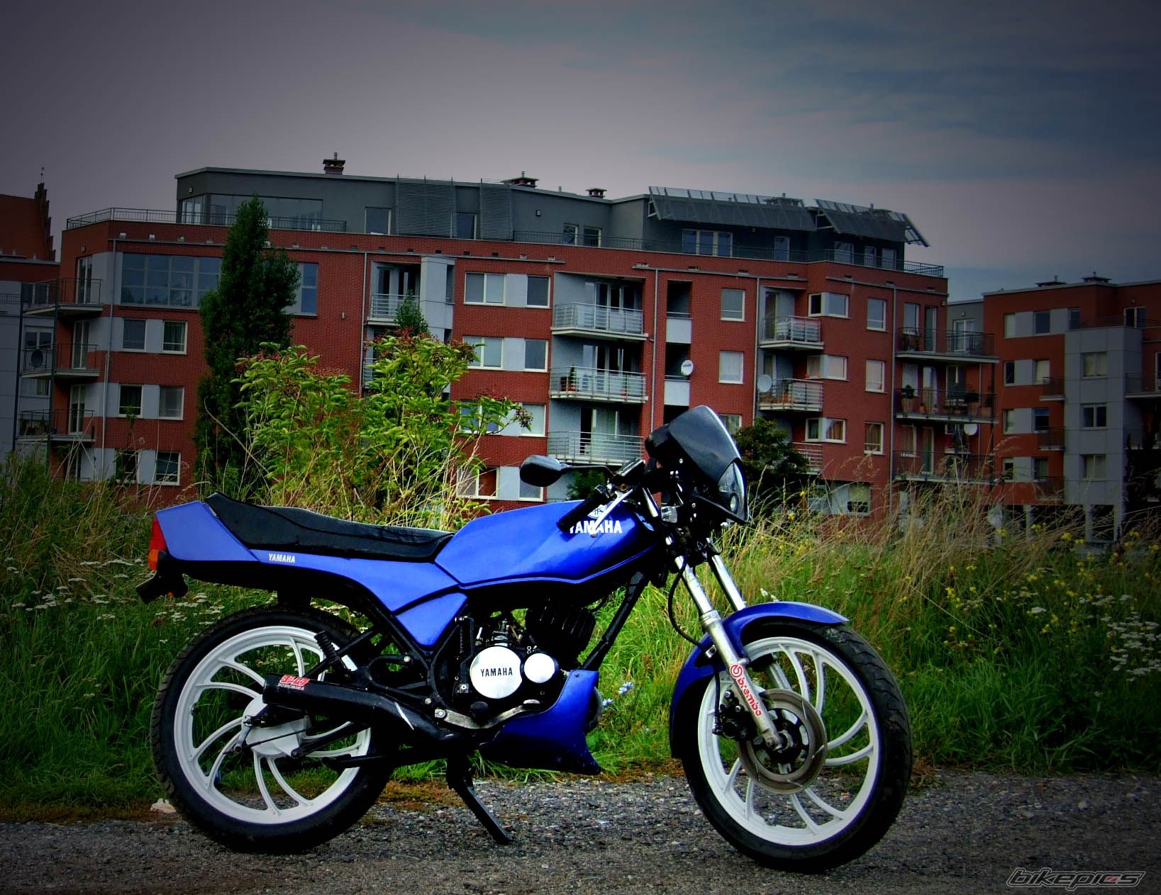 Photo 1795661