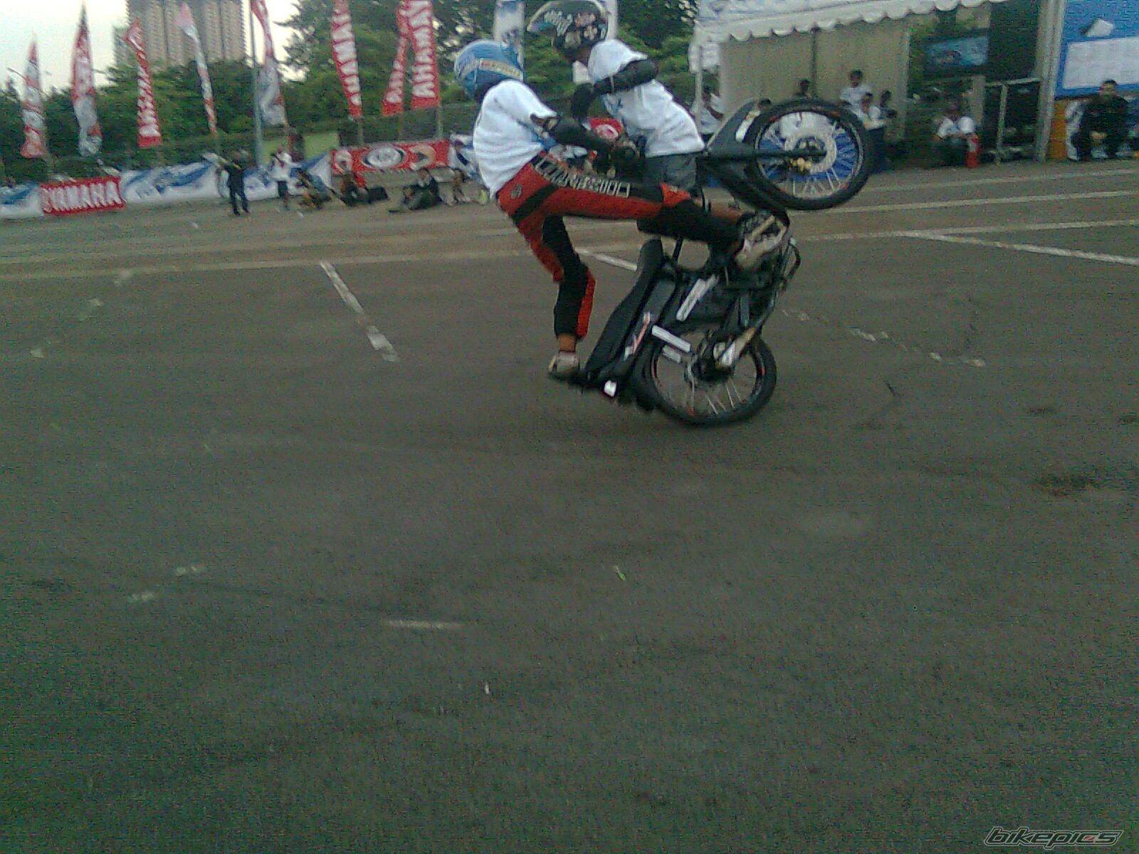 Photo 1795818