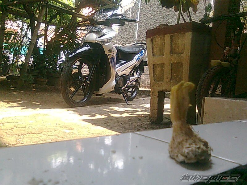 Photo 1795825