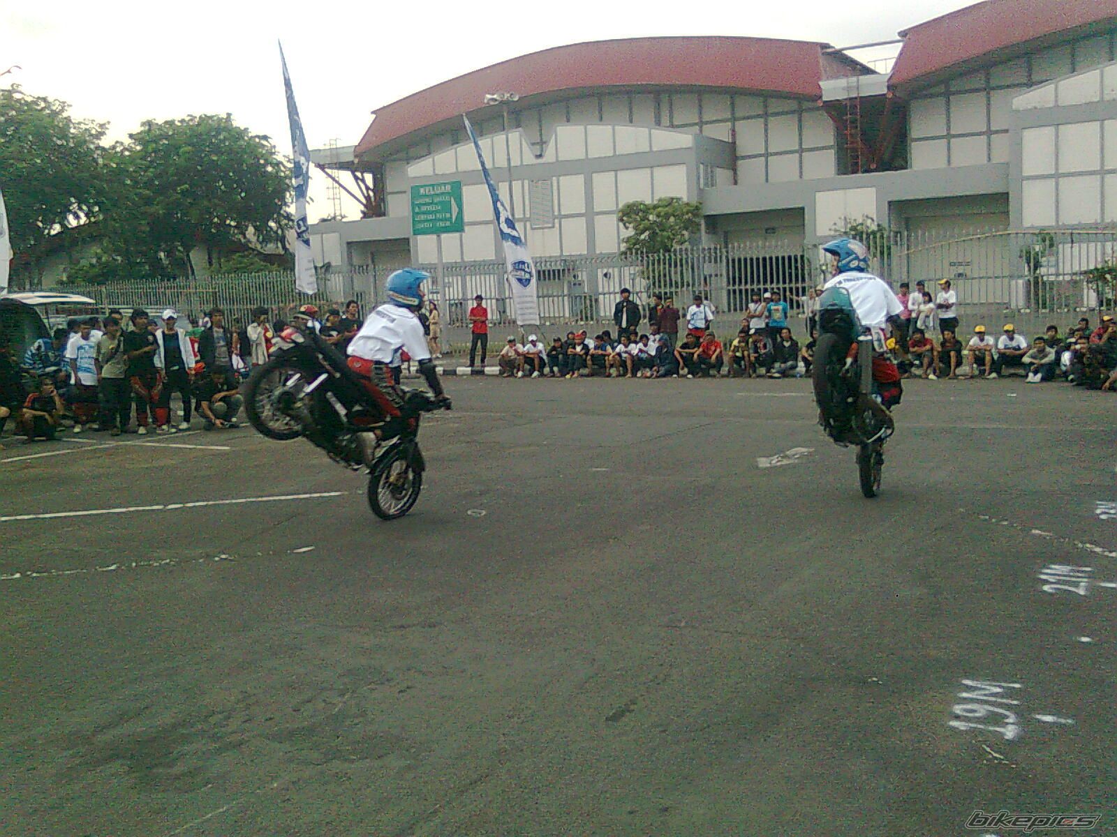 Photo 1795829