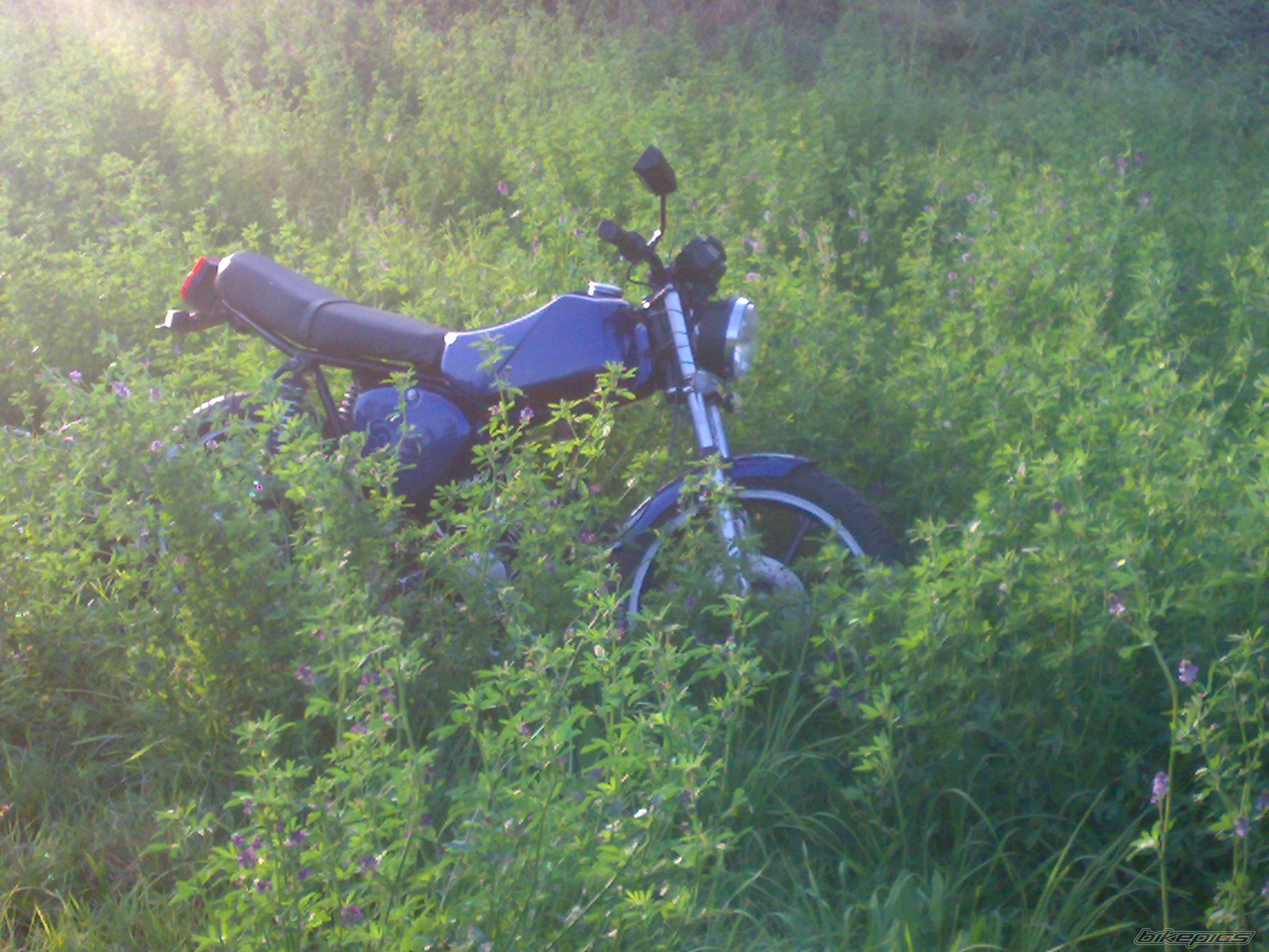 Photo 1795868