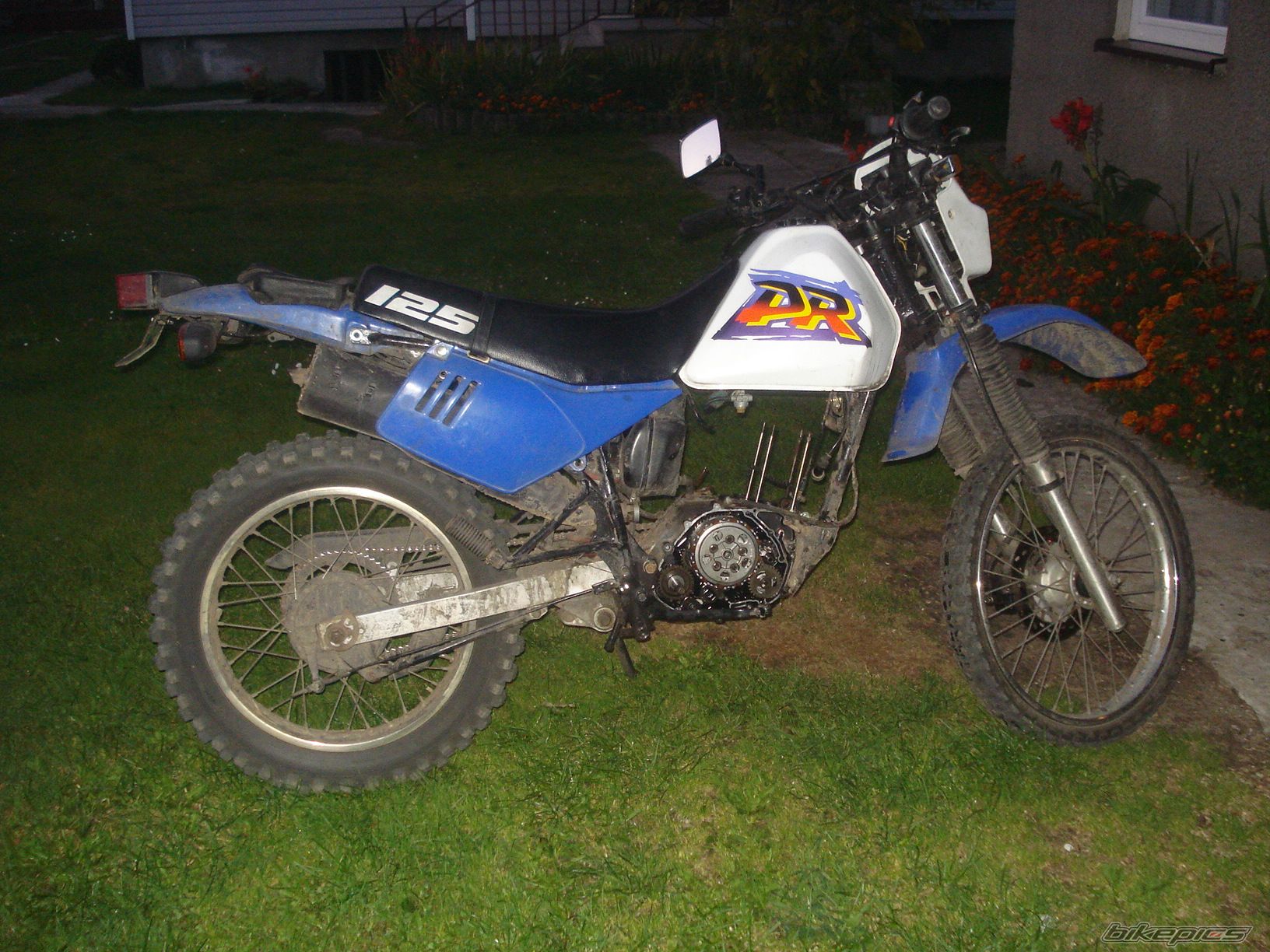 Photo 1795896