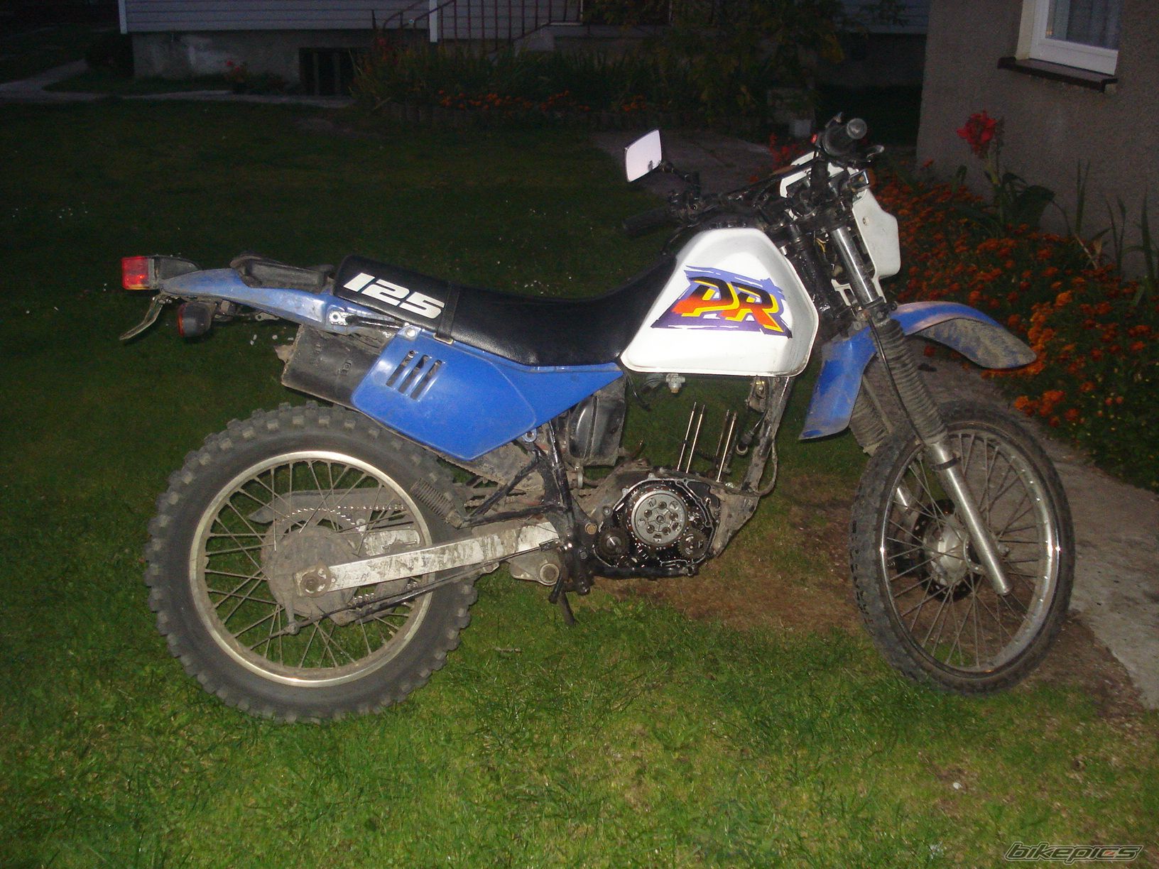 Photo 1795897