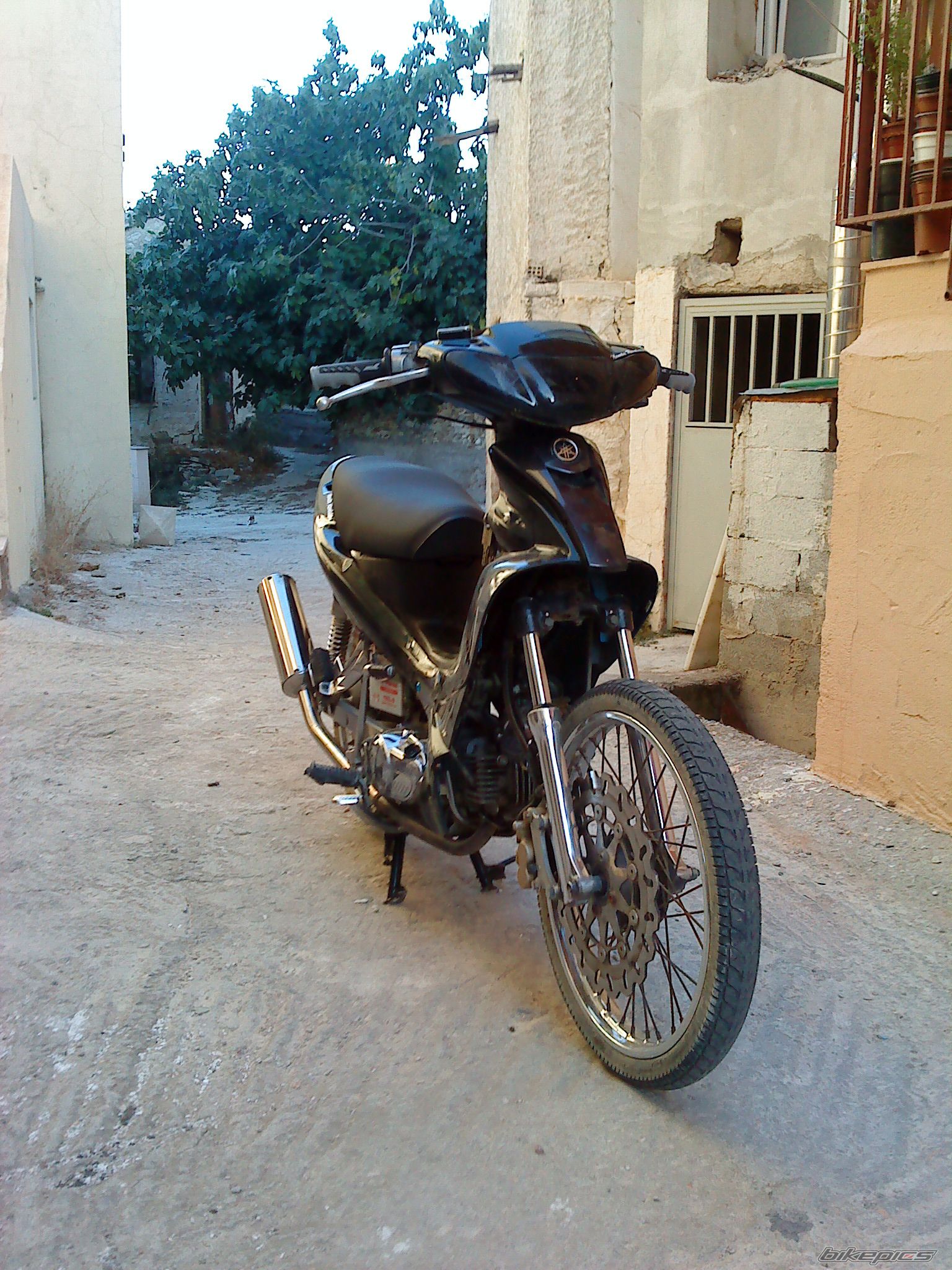 Photo 1796157