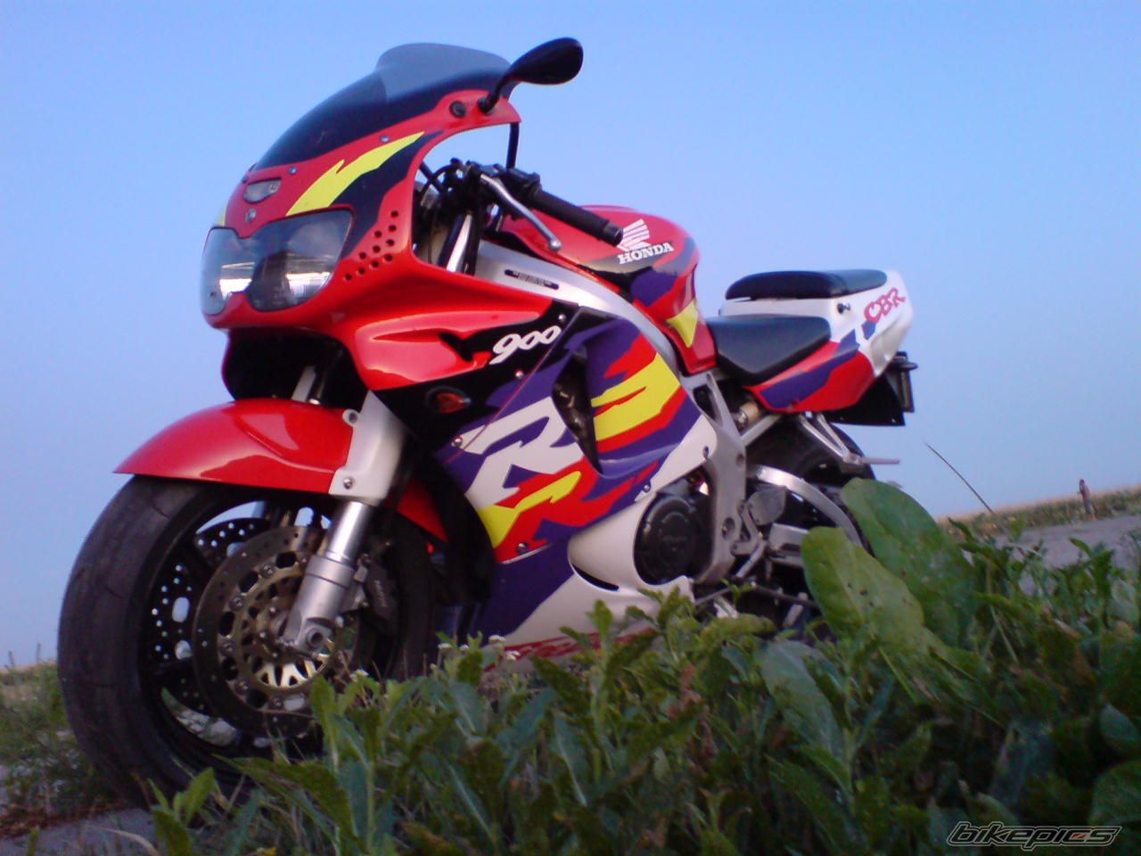 Photo 1796284