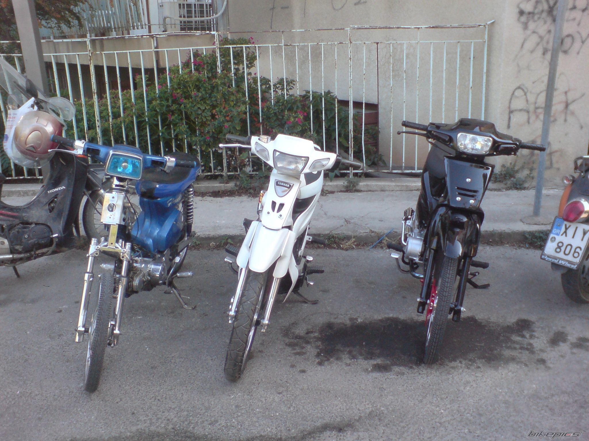 Photo 1796297