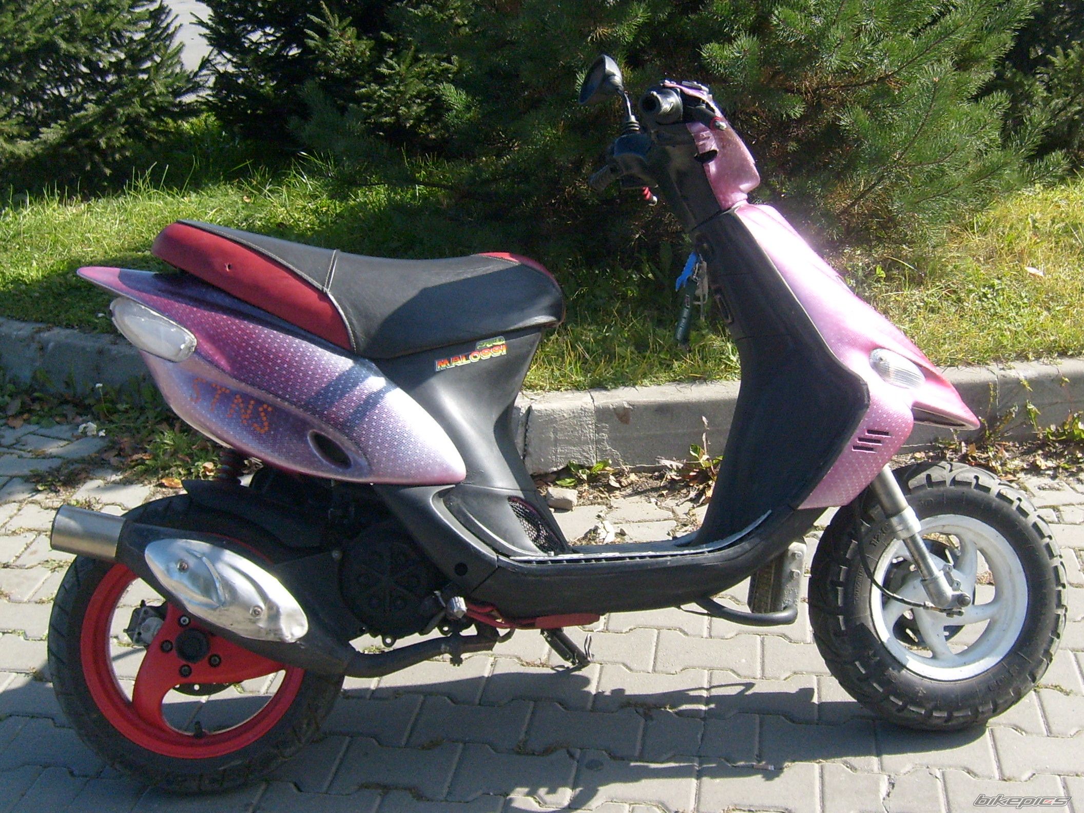 Photo 1796624