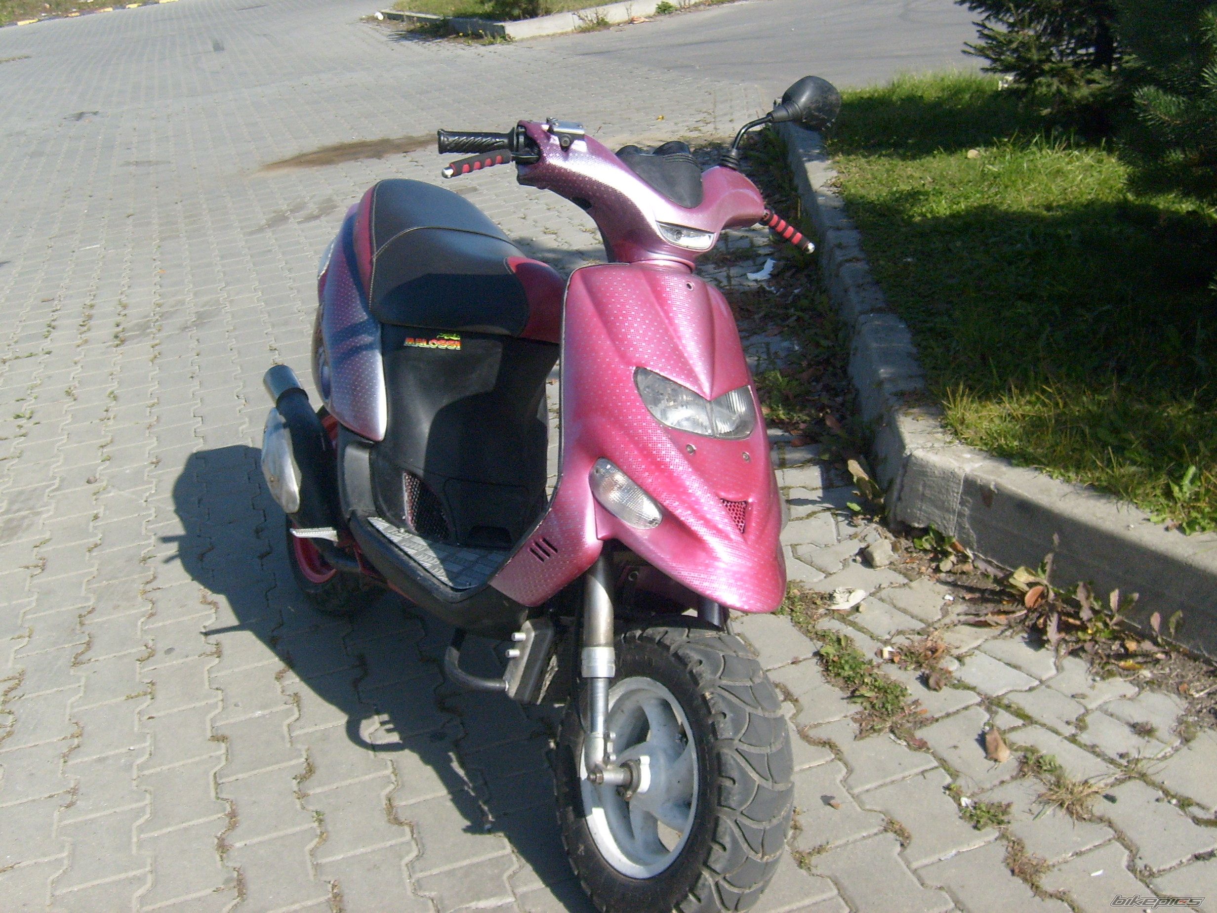 Photo 1796634