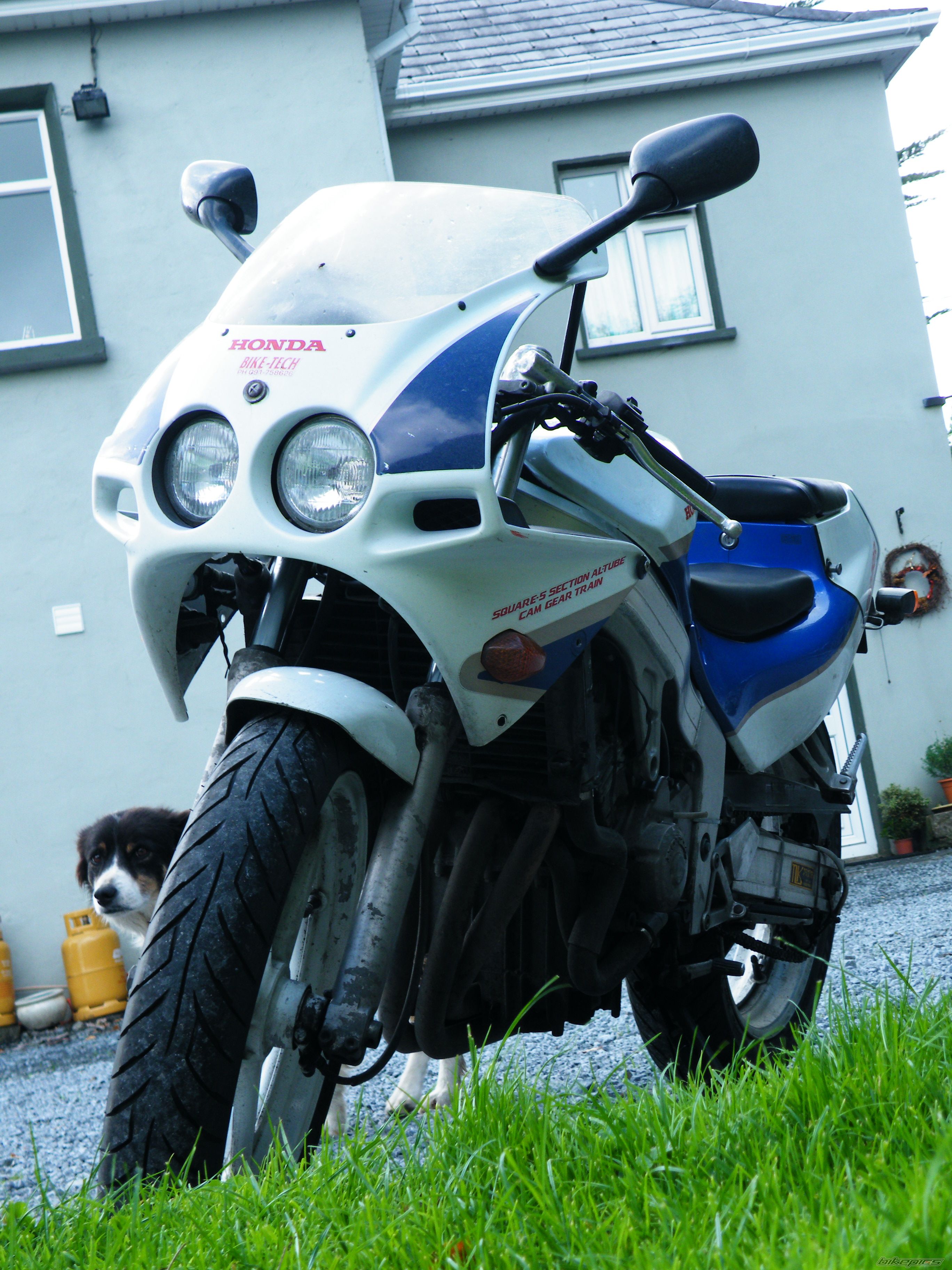 Photo 1796680