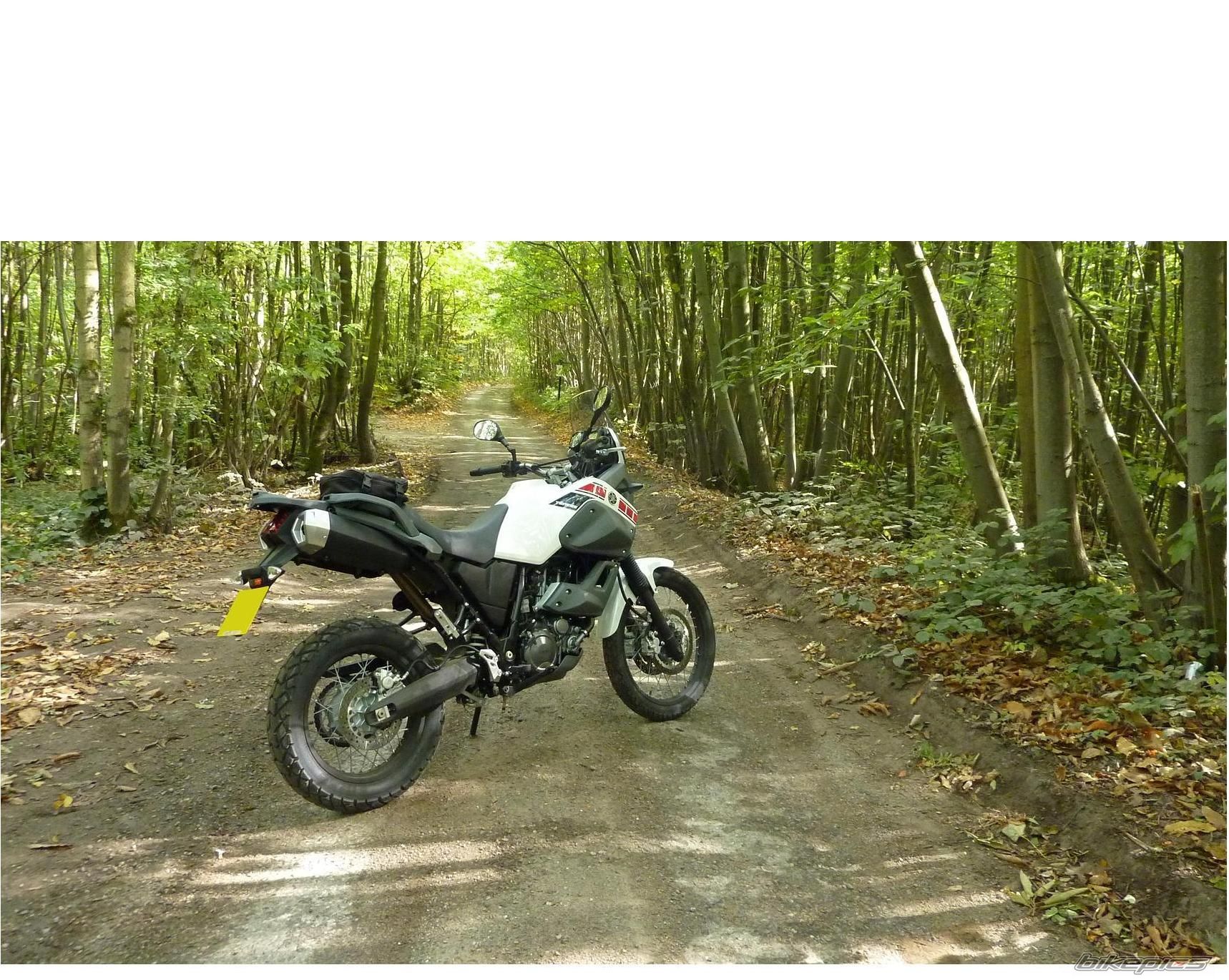 Bike Photo 1796746