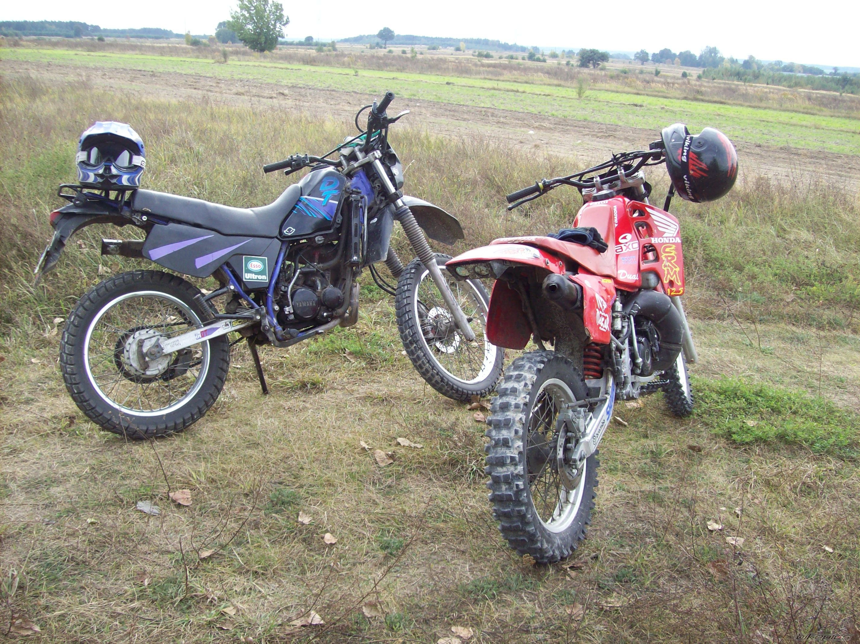 Photo 1796754