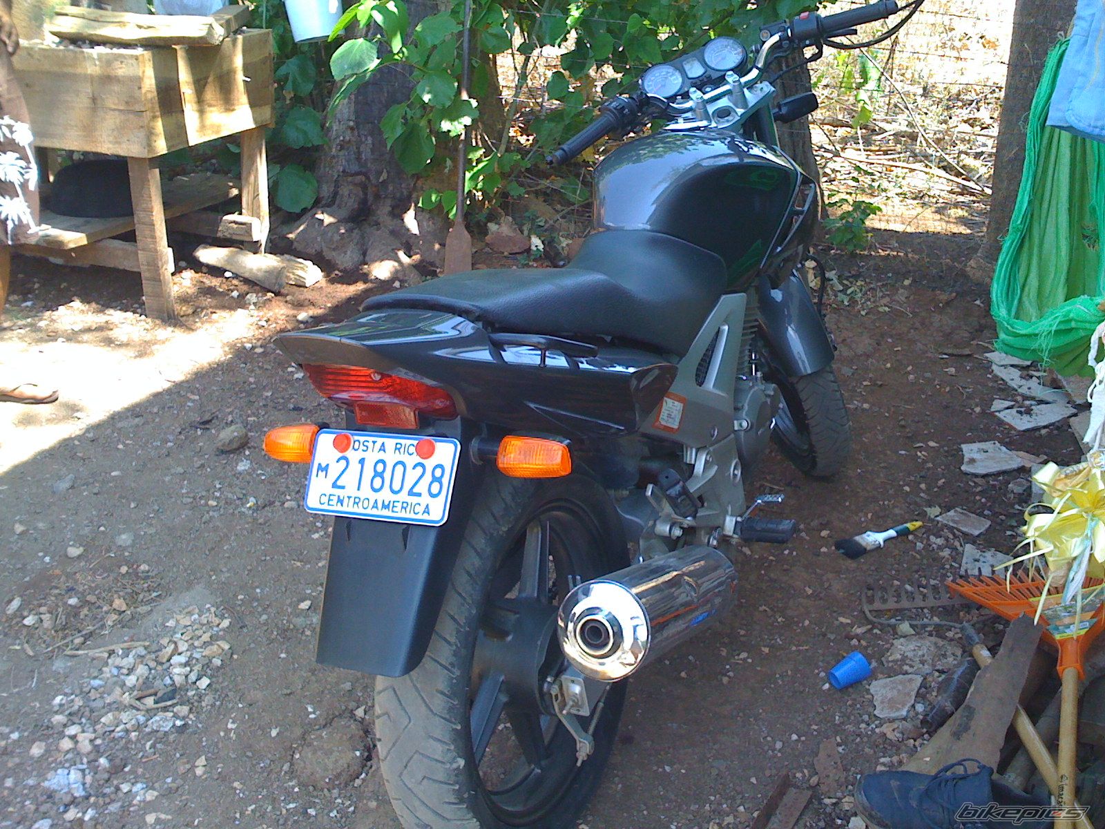 Photo 1796904