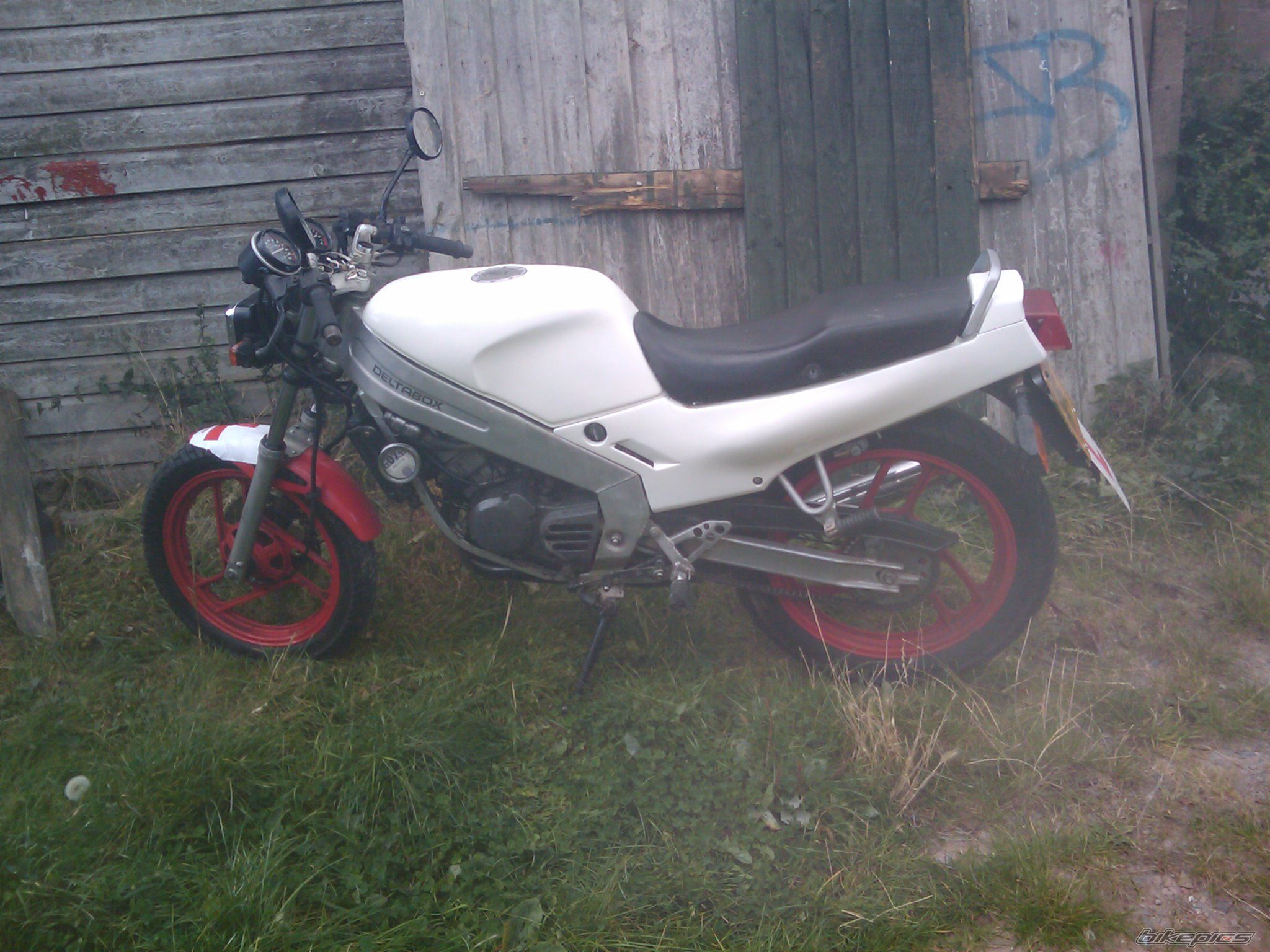 Photo 1796951