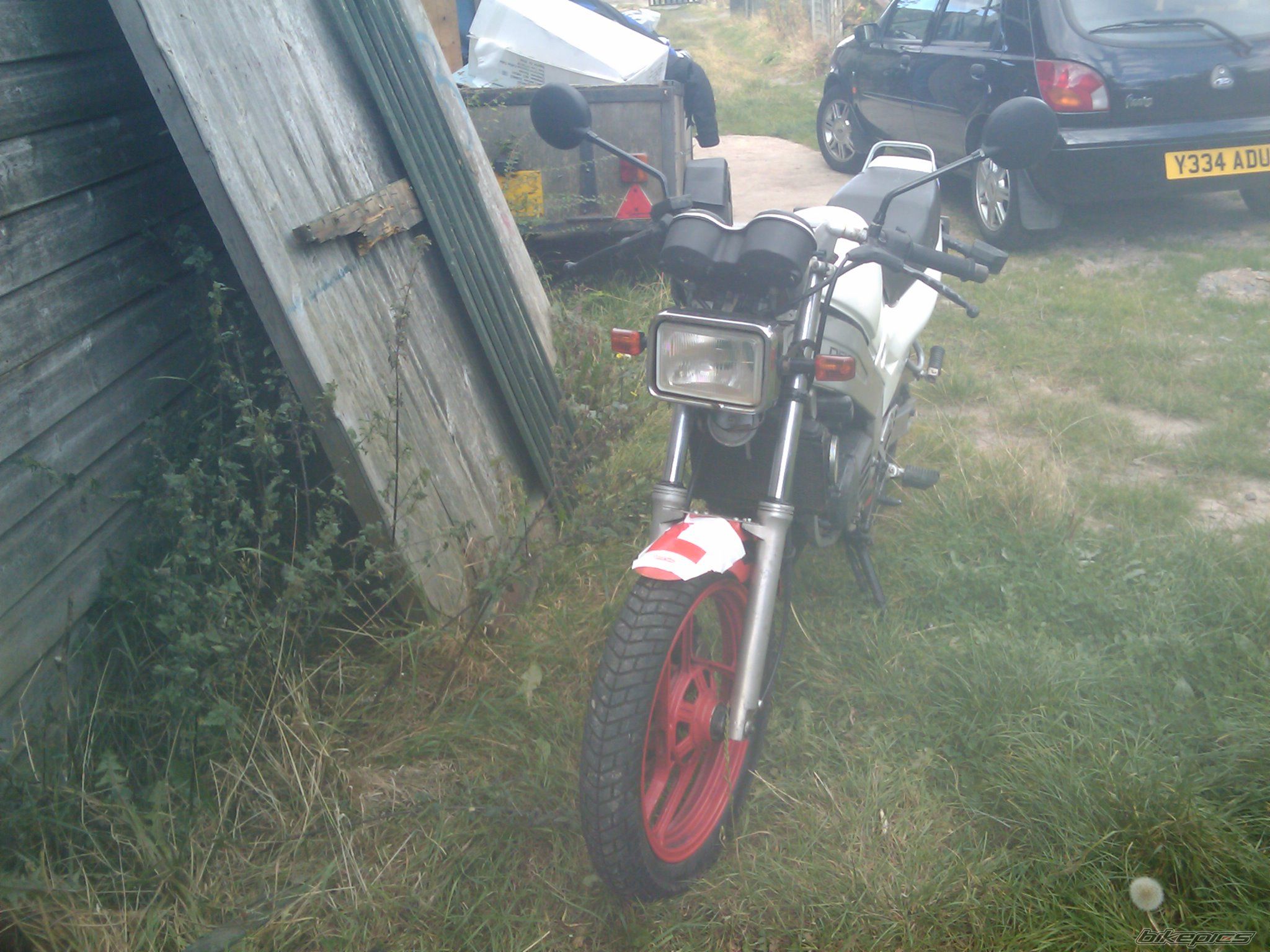 Photo 1796952