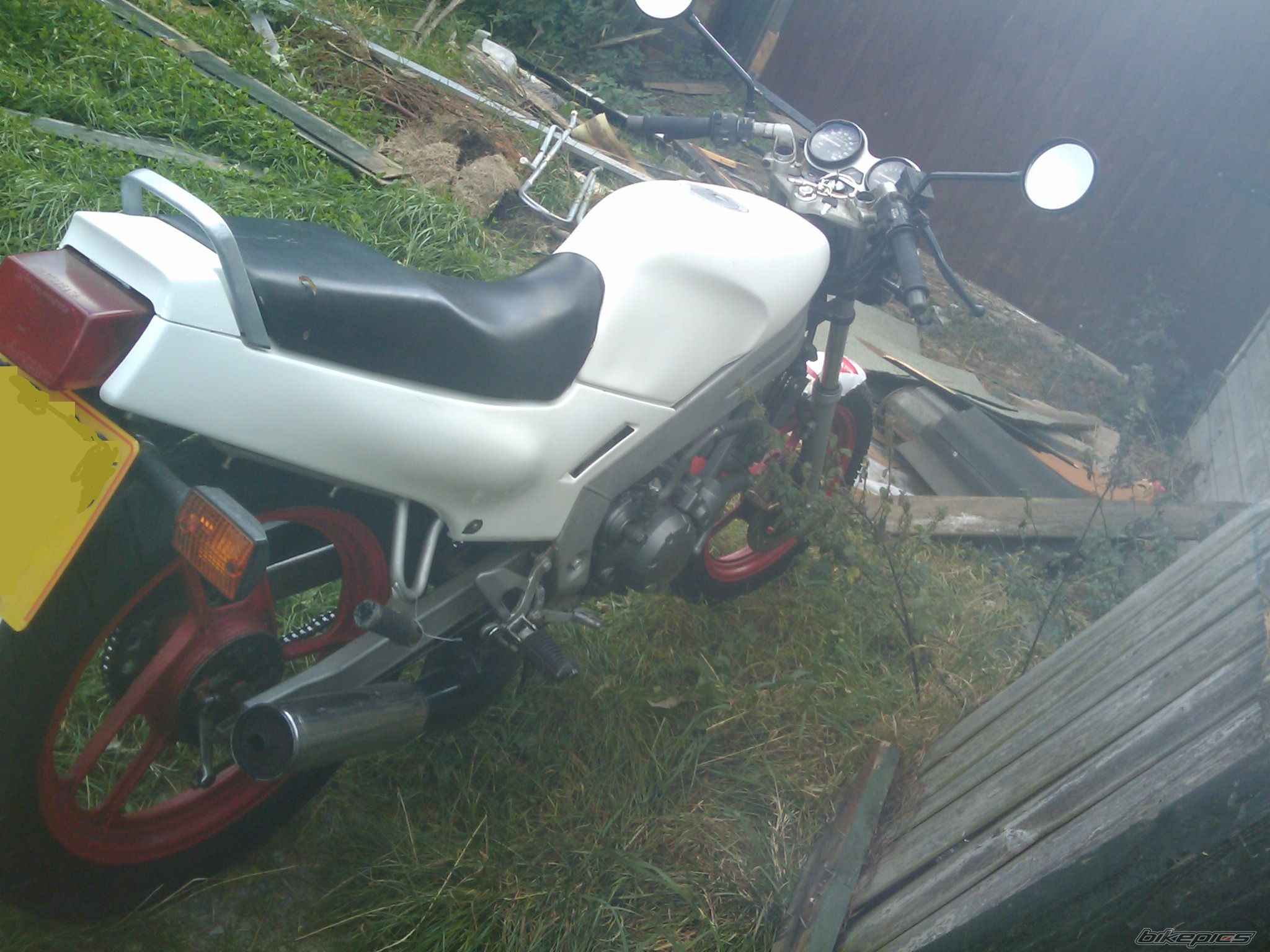 Photo 1796956