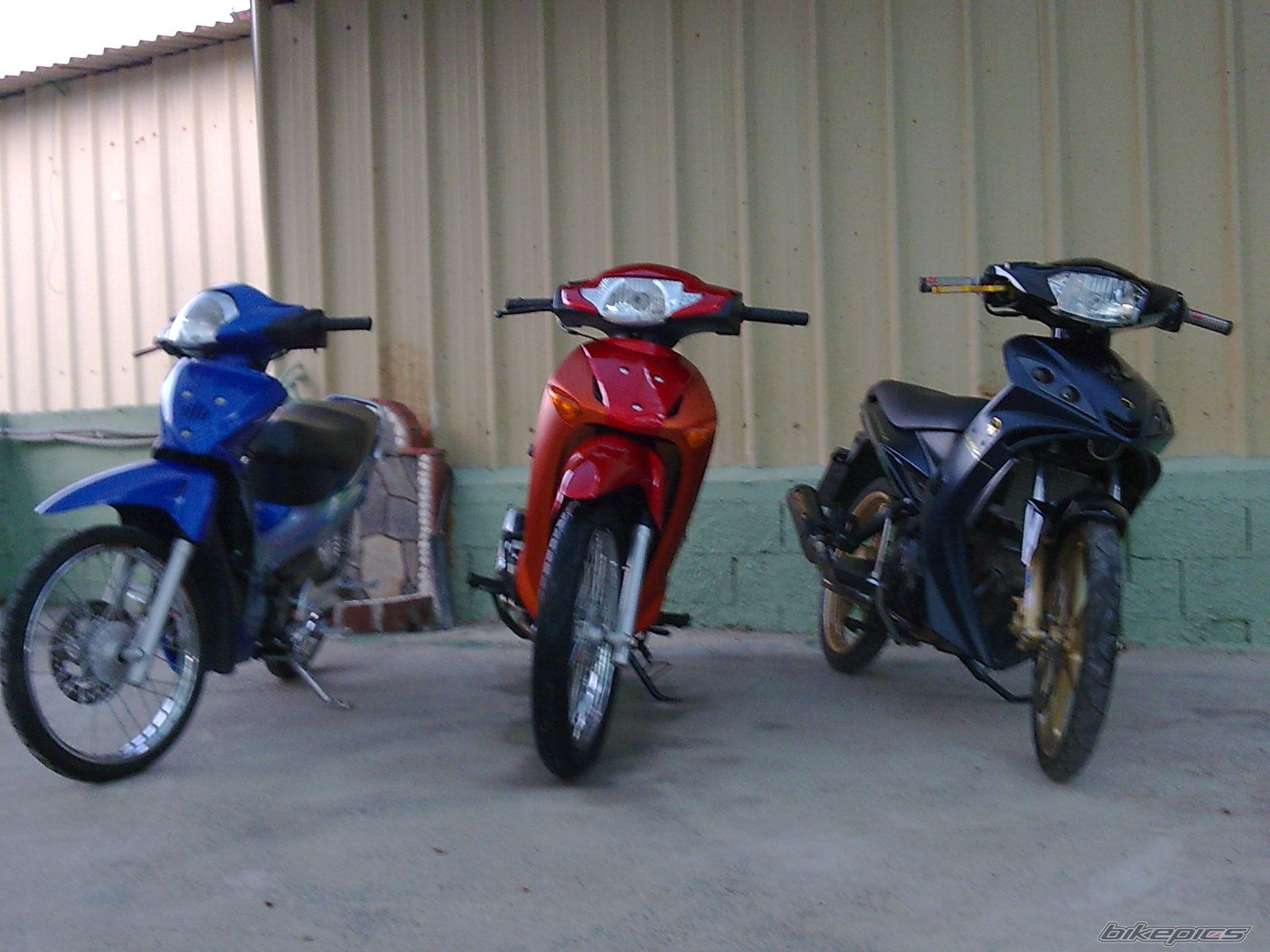 Photo 1797319
